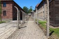 View between electrified barbed wire fence in concentration camp Auschwitz-Birkenau